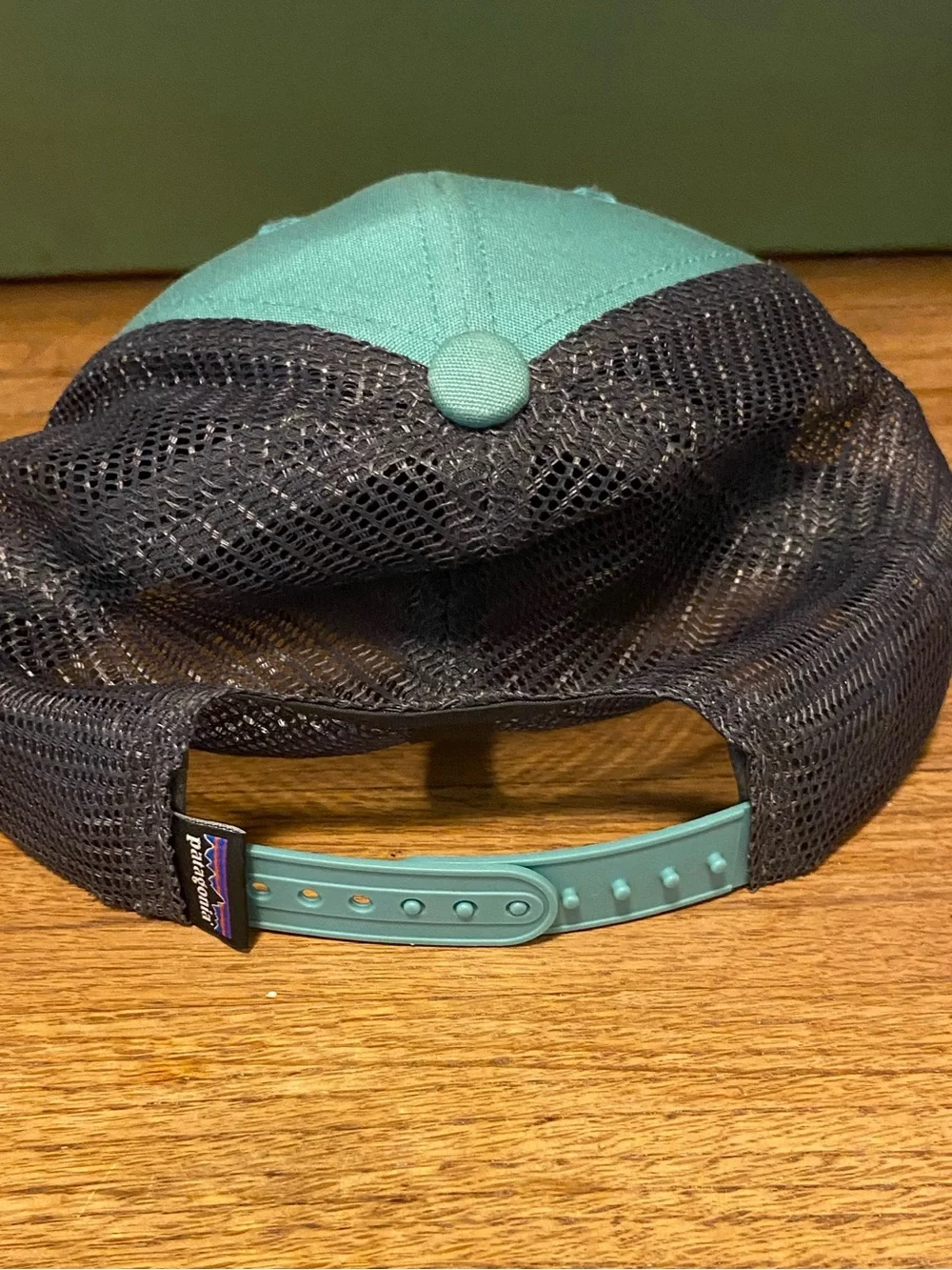 Patagonia cute tan